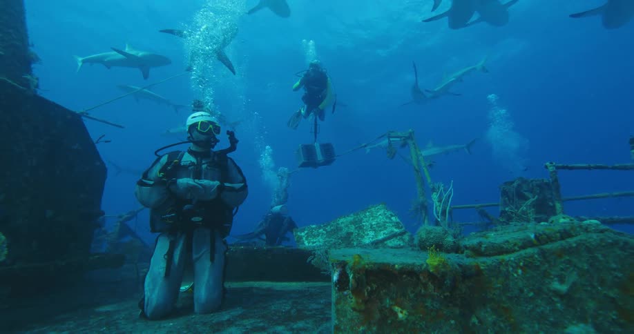 Two scuba divers explore a shipwreck with a group of sharks