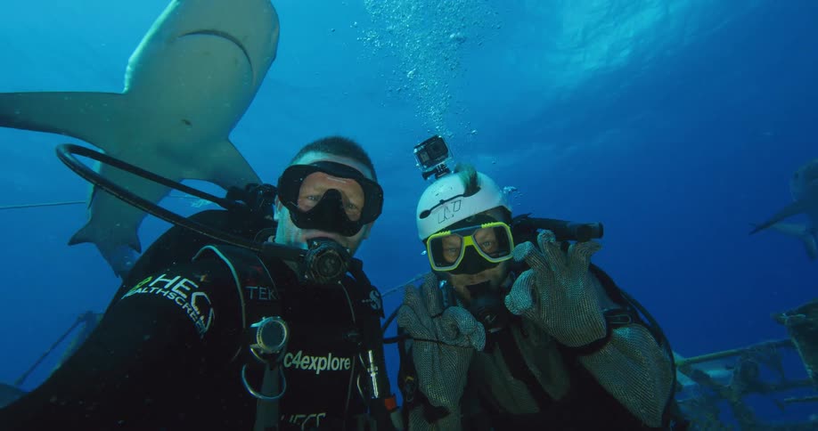 A shark swims above two divers