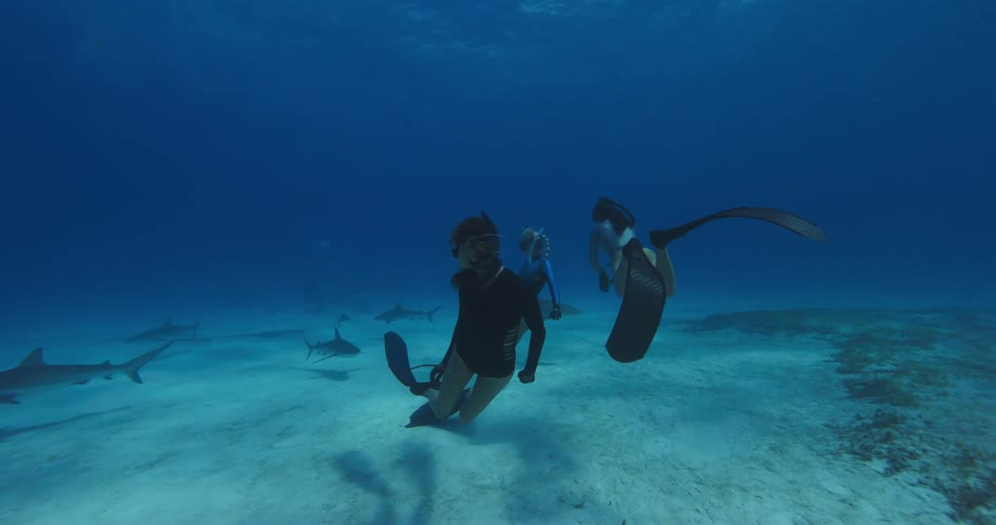 Three women with flippers and snorkels swimming underwater with sharks