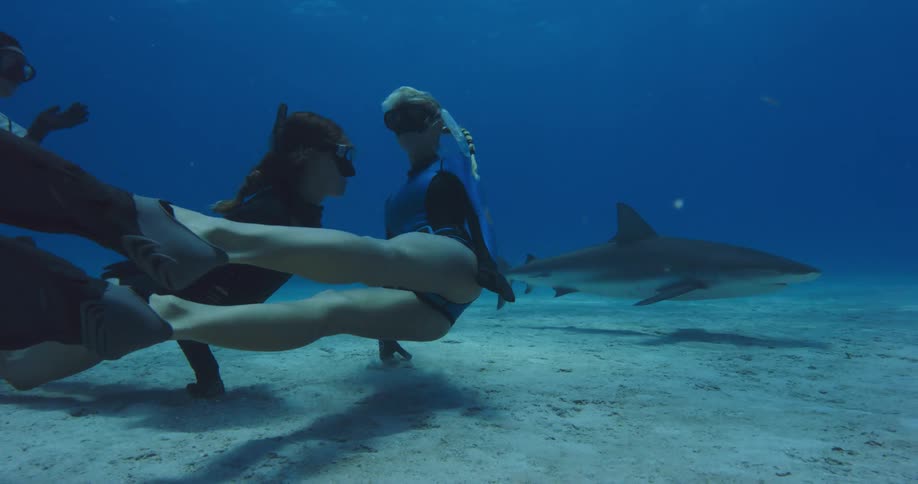 Trio of female freedivers swimming over the bottom of the ocean with sharks