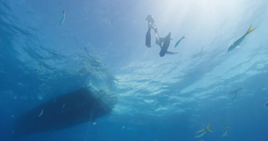 Two women with snorkels and flippers swimming underwater with fishes