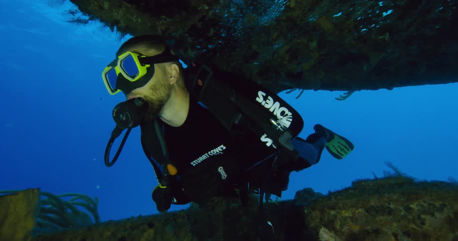 A diver swims past a school of fish