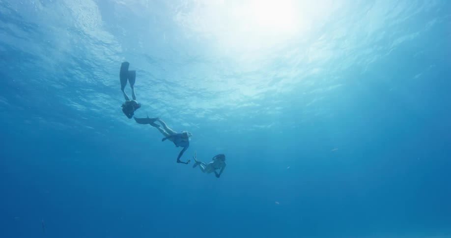 Three free divers dive underwater