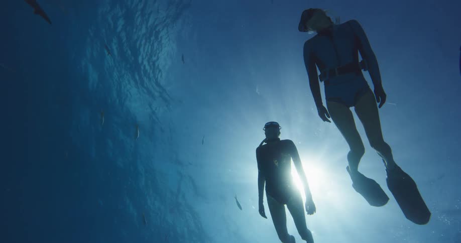 Three women with snorkels and flippers swimming underwater with fishes and sharks