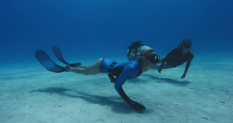 Three women with flippers and snorkels swimming underwater with sharks