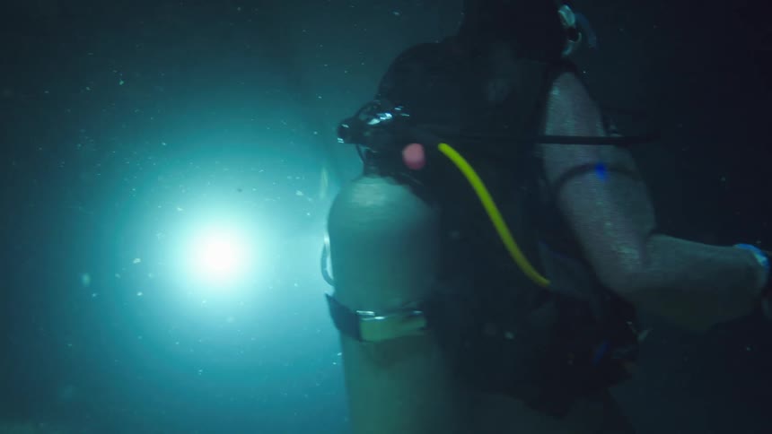 A diver feeds a fish to a shark