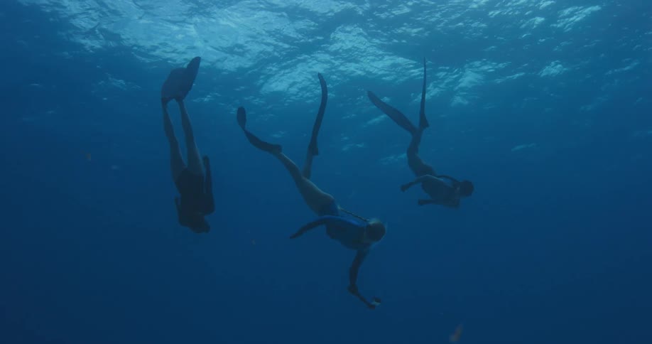 Trio of female free divers swimming to the bottom of the blue ocean waters