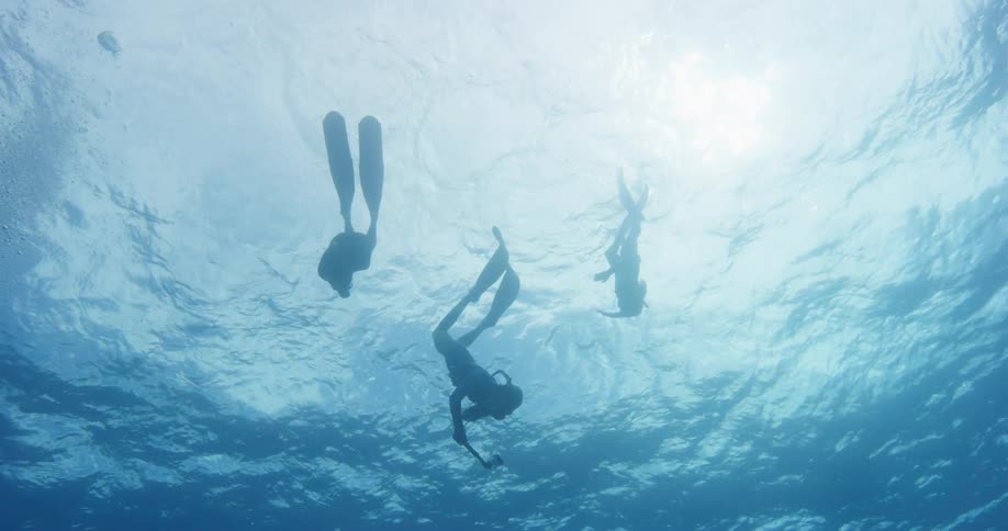 People with flippers swimming and diving underwater with bubbles