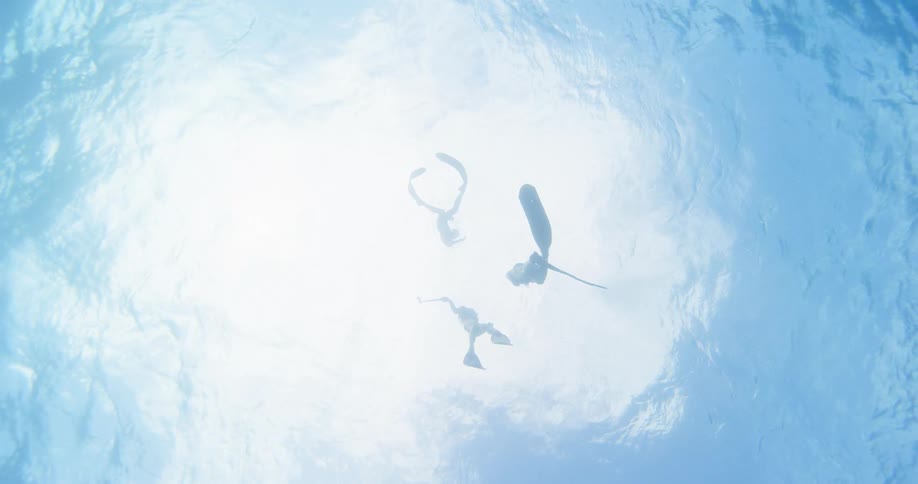 Trio of female freedivers swimming up to the surface of the blue ocean waters