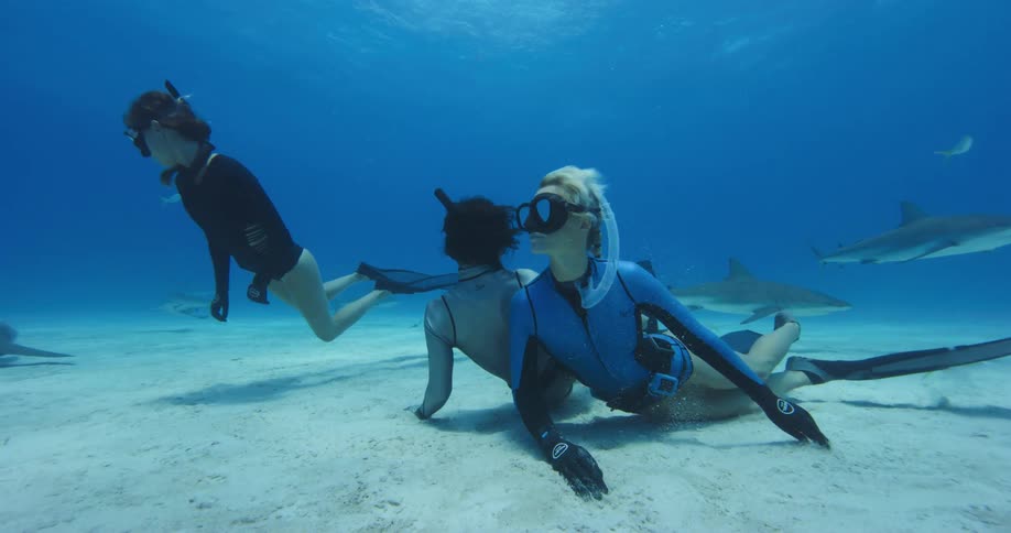 Three women with flippers and snorkels swimming underwater with sharks