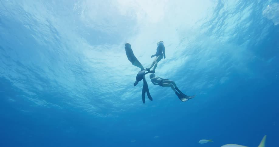 Three people swimming under water
