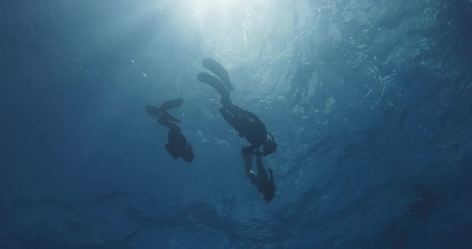 Three divers descend into the water