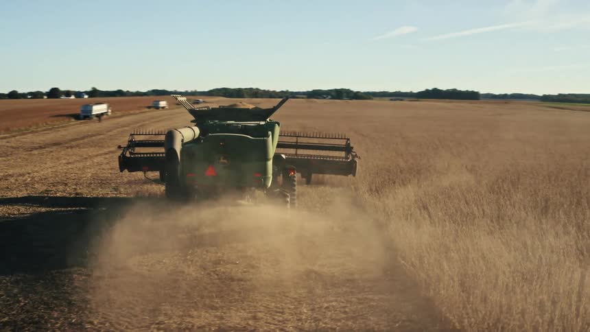 Green wheat harvester working on a field in the morning