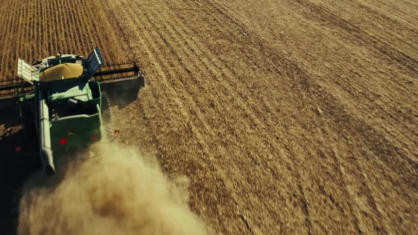A tractor is plowing a wheat field