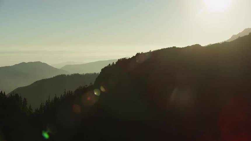 A mountain range covered in forest on a foggy day
