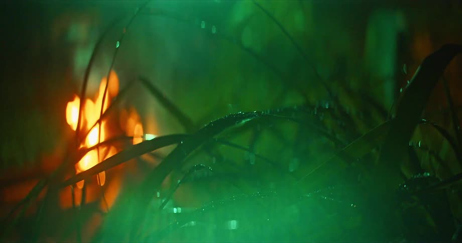 A fire burning outdoors