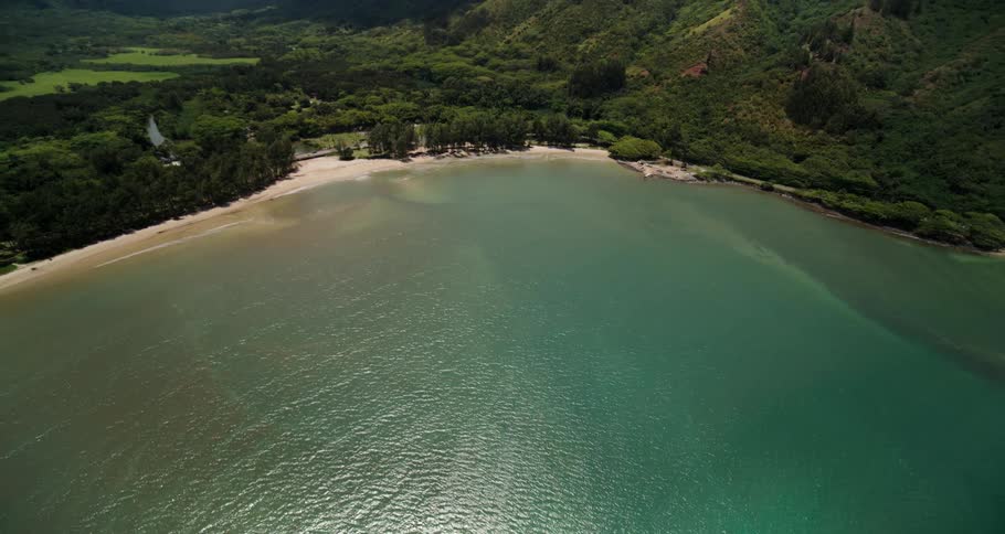 An aerial shot of sea coast with lush green background