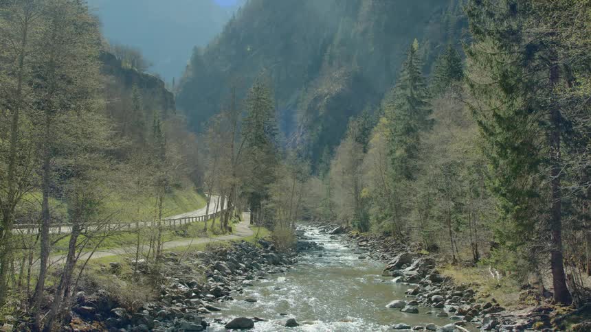 River and road run in parallel past forest covered mountains