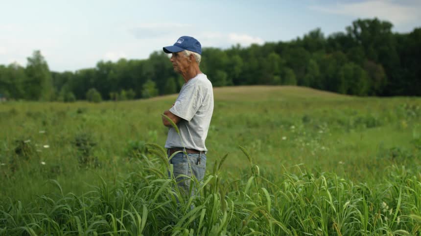Elderly man wearing a blue hat stands on the gall grass in a field next to the forest