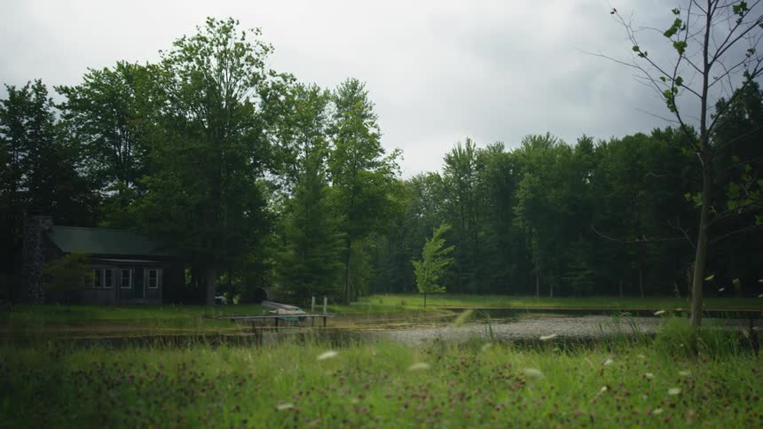 A house surrounded by woods and a pond in the front yard