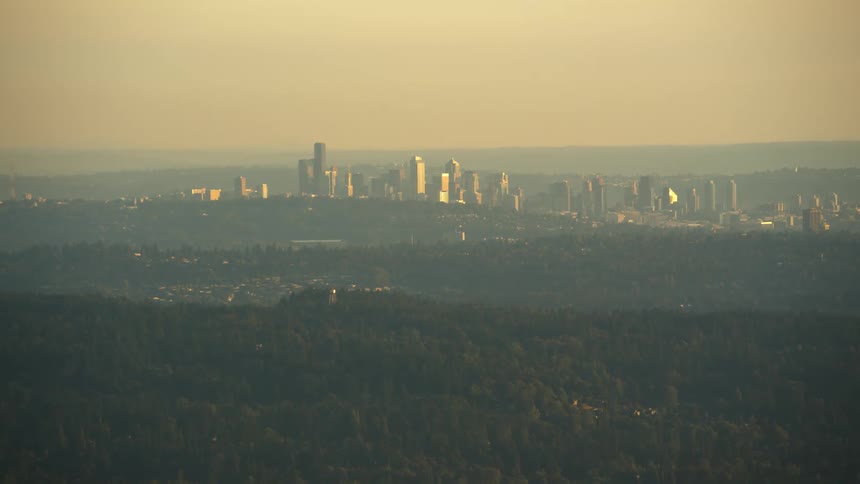 A metropolis surrounded by forest in the evening