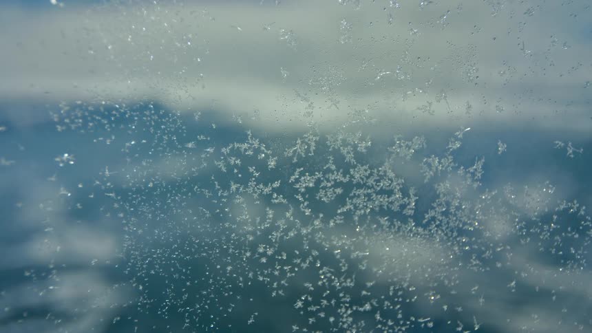 The window is covered with frost