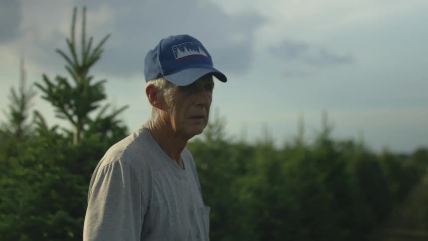 Man stands in aisle of christmas tree farm under a cloudy sky