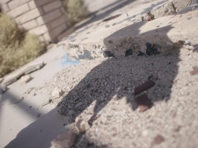 Shadow with winglike shape on back moves across sidewalk and gravel