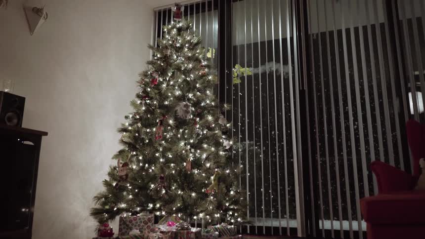 A christmas tree is lit up while snow is falling outside the window
