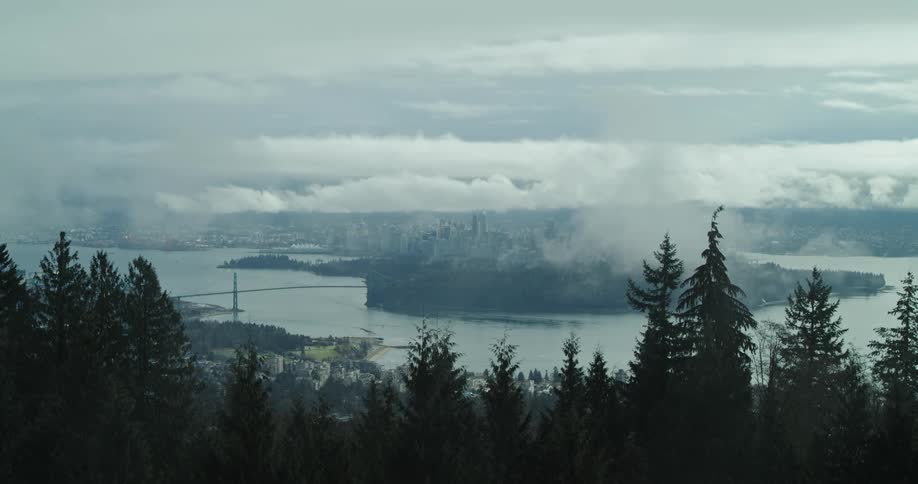 Downtown Vancouver and Stanley Park is revealed through the fog and trees