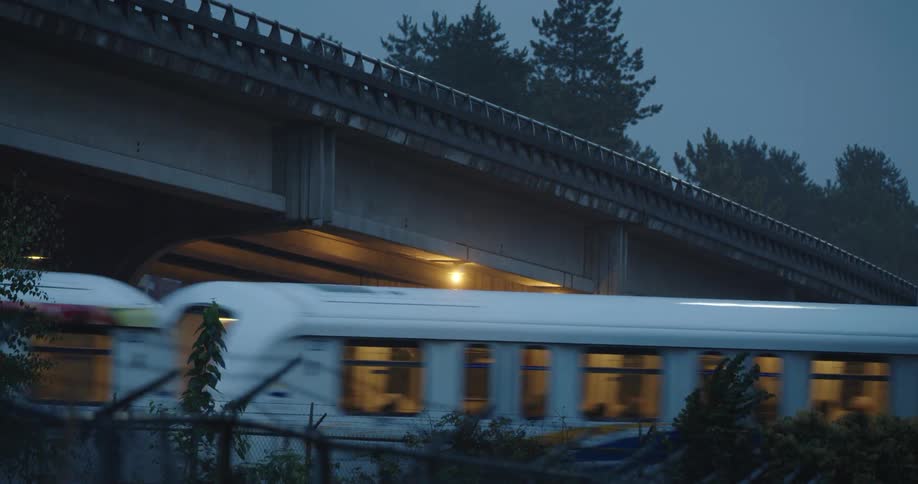 A train travels beneath an overpass that is surrounded by tall trees