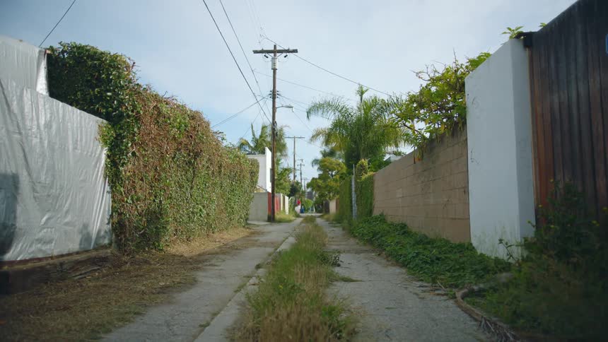 An empty alley is displayed in spring