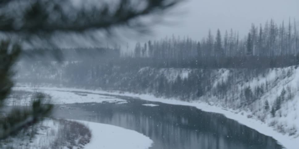 Evergreen tree branches frame a winter scene with water surface reflecting the trees and riverbank