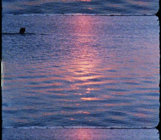 Swimmer swims in the lake while people walk along the shore