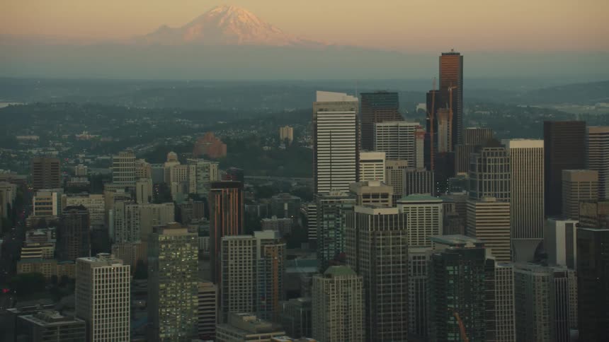 Skyscrapers sit in the city as the mountain sits in the distance