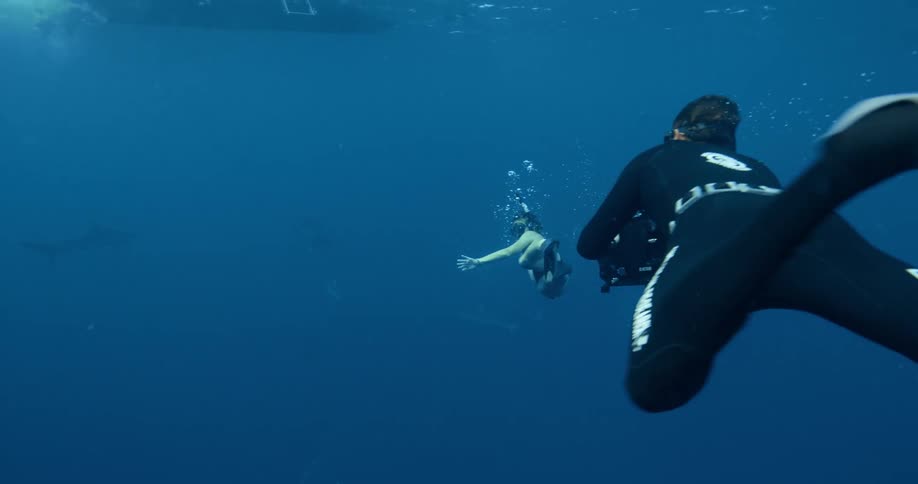 A female diver is filmed swimming through water with sharks floating nearby