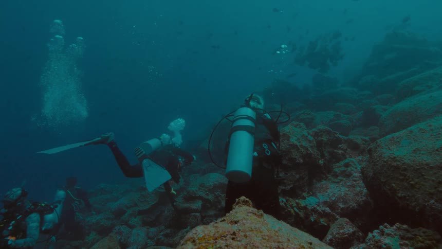 People with scuba gear swimming underwater with fishes