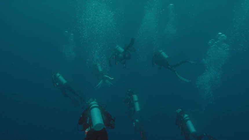 Scuba divers swimming under water