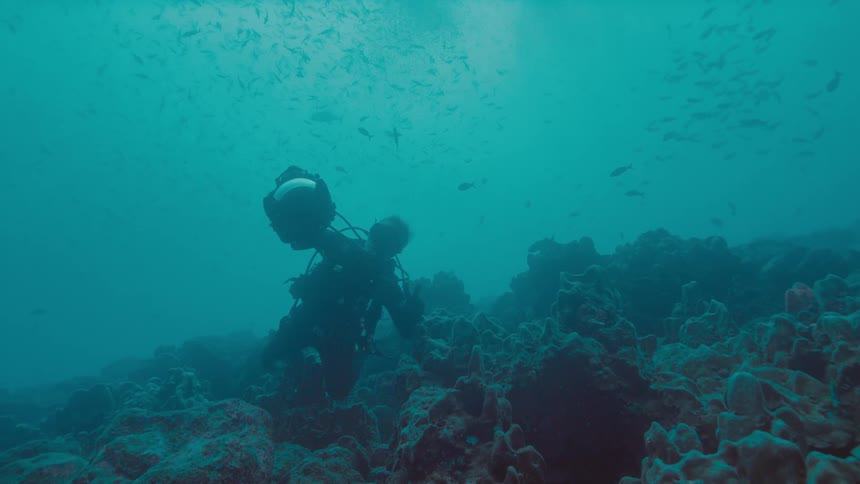 A scuba diver floating just above the reef gives the peace sign as fish swim behind