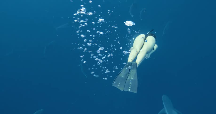 A woman with a snorkel and flippers swimming underwater with sharks