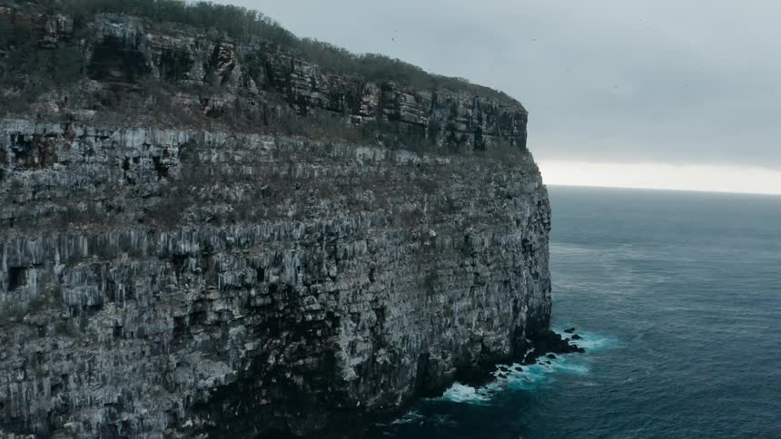 A coastal cliff with birds flying in the air with the sky and clouds in the background