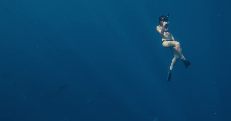 A diver rises towards the surface