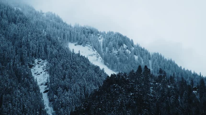 Snow covered mountain forest on a cloudy day