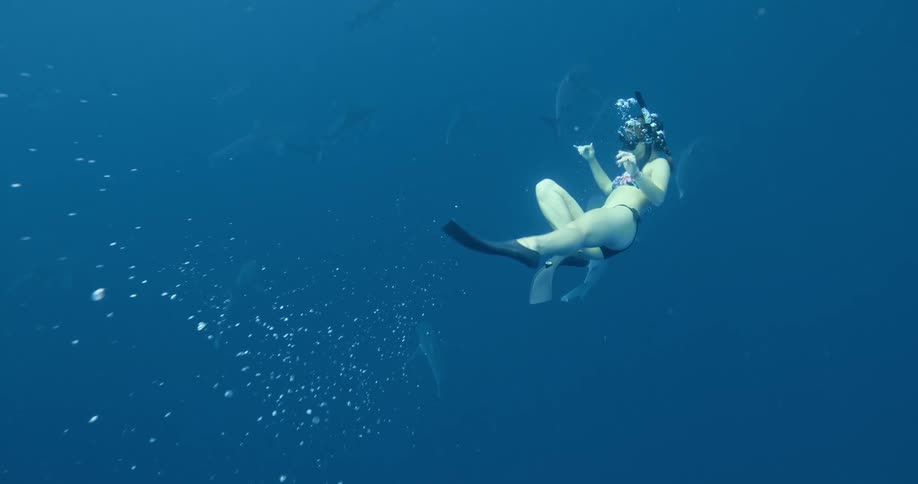 A woman with snorkels and flippers swimming underwater with sharks