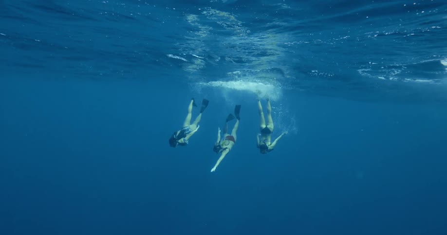 Three people are scuba diving in the ocean water