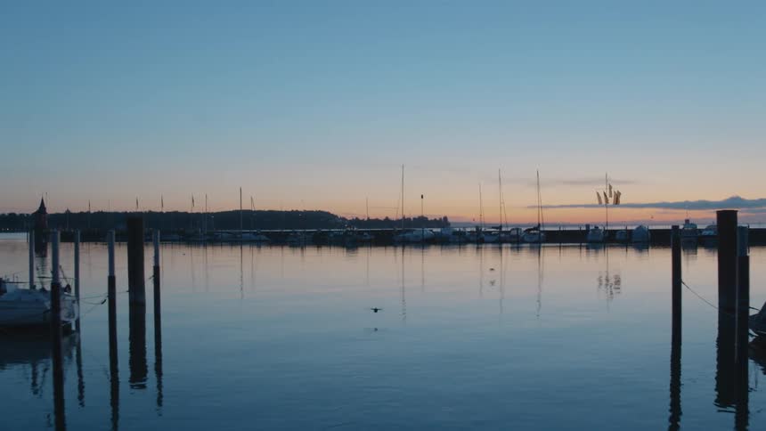 Boats at a marina reflect in still sea water as birds swim and fly overhead