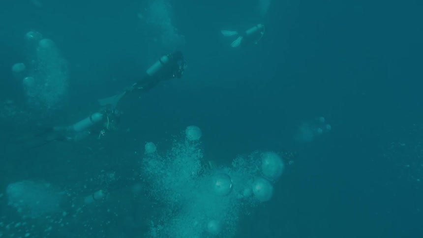 People with scuba gear swimming underwater with bubbles