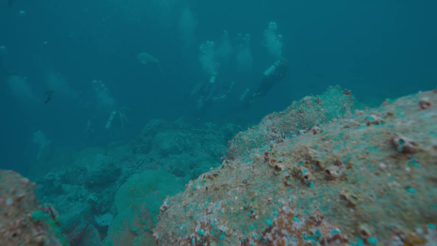People with scuba gear swimming underwater in the ocean with fishes