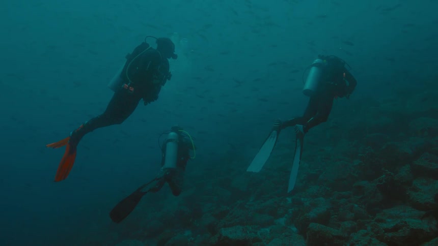 Three people in scuba gear swimming underwater in the ocean with fishes