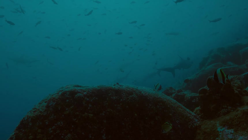 A wide shot of the ocean